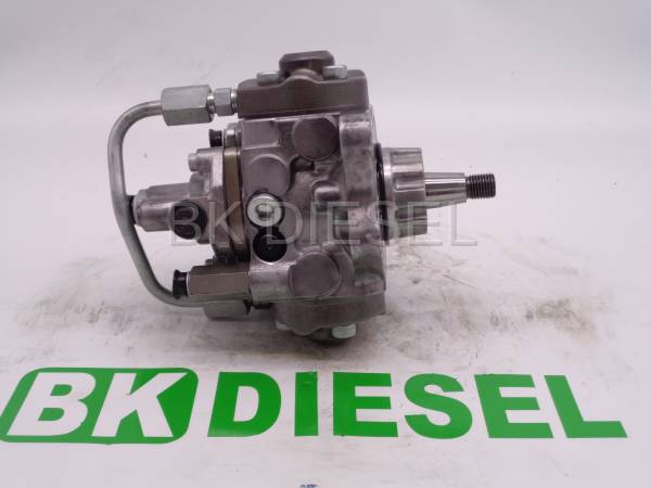 りゅう M198659671