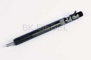 EJBR05001D Injector