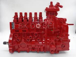 Injection Pump