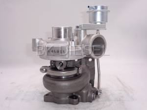 Turbo (New) - Image 2