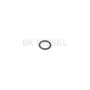 O-Ring (Connector Tube)